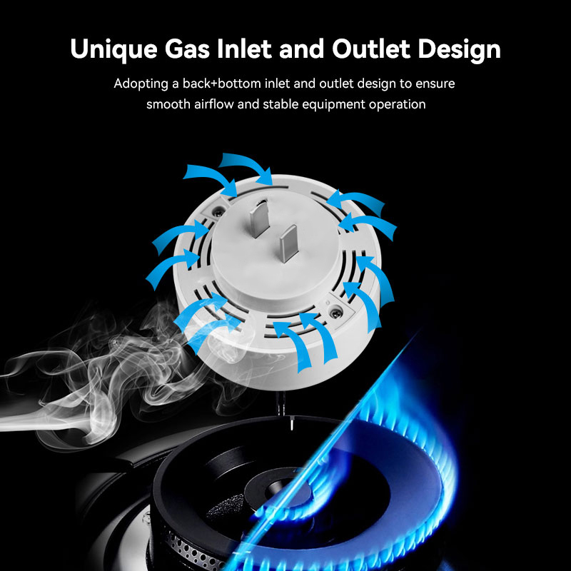 Mian Zigbee Gasdetector Tuya W - Home Security Systems Wireless recensie en prijs