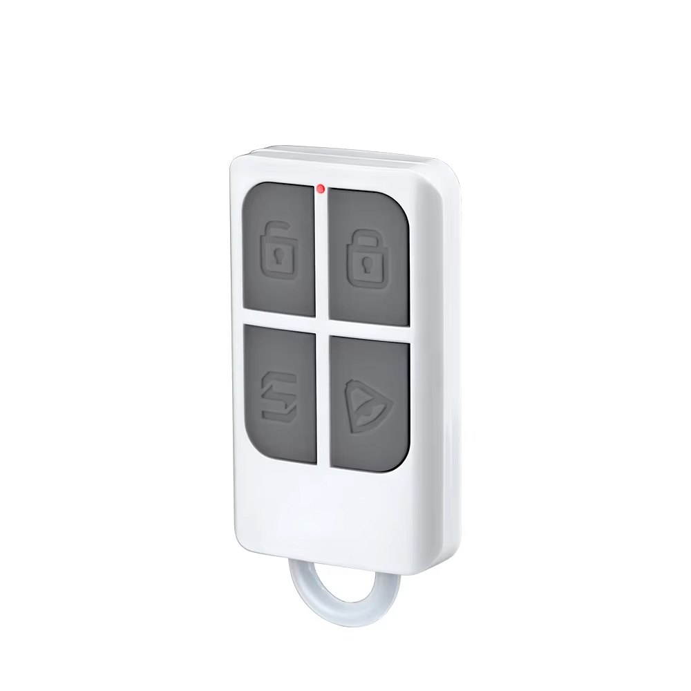 RC531 Draadloze Draagbare Afst - Home Security Systems Wireless recensie en prijs