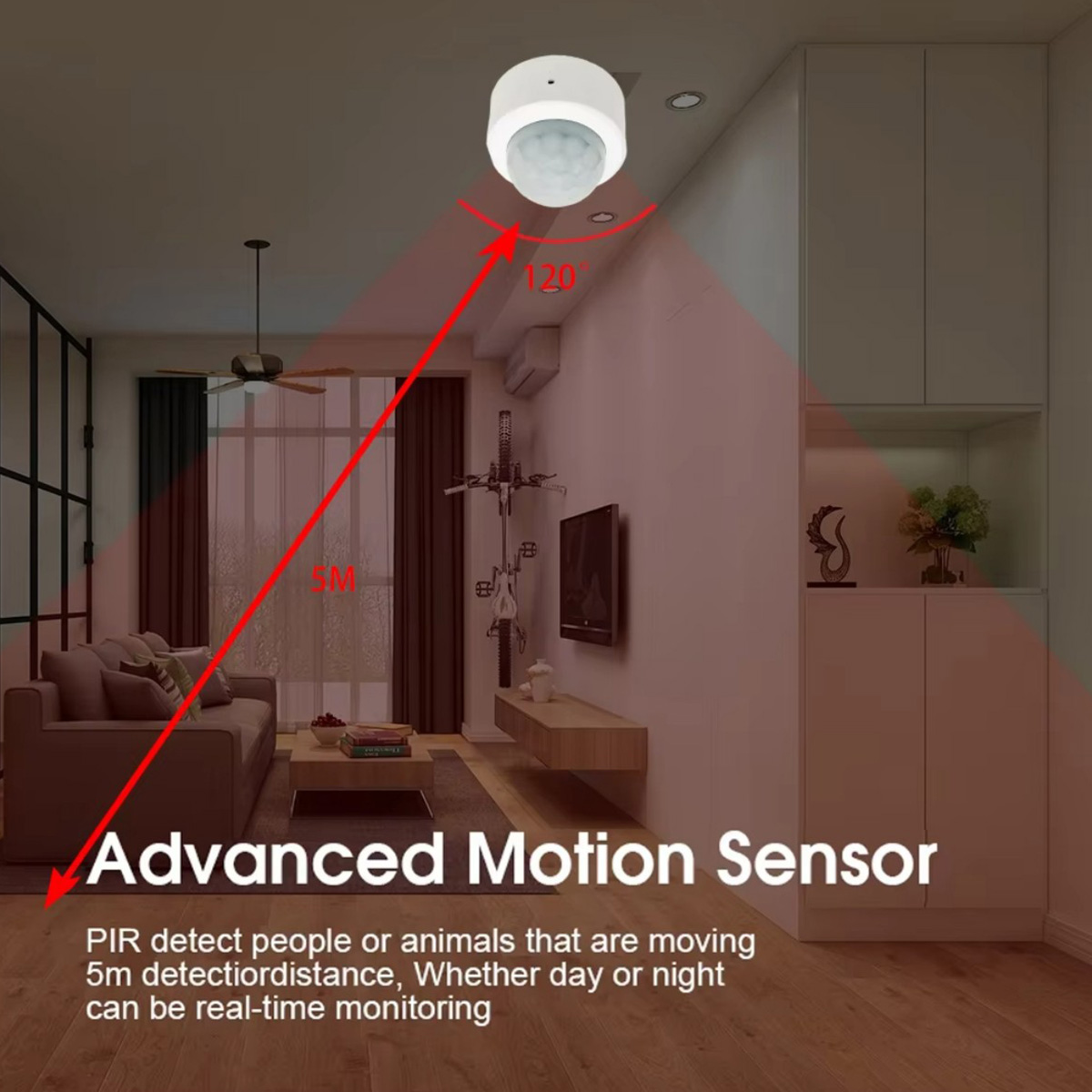 Zigbee3.0 Mini PIR Menselijke  - Home Security Systems Wireless recensie en prijs